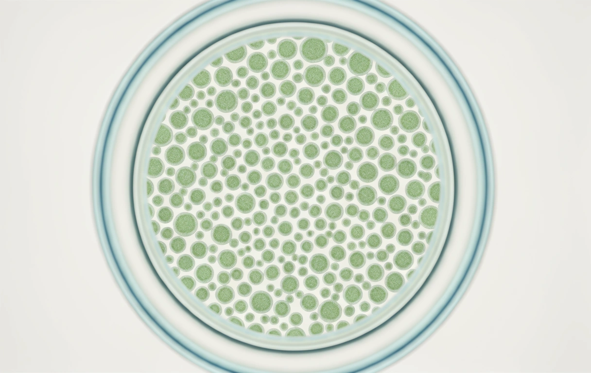 Wissenschaftlichkeit DietaWell